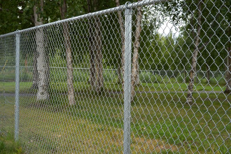 Chain-Link Fence Surrounding a Yard